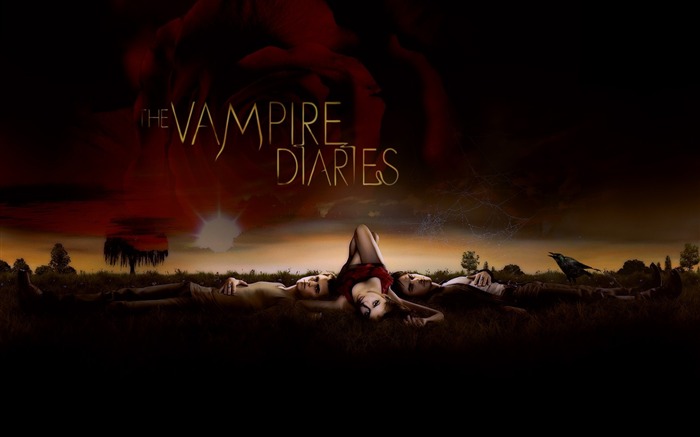 Le papier peint Vampire Diaries #11