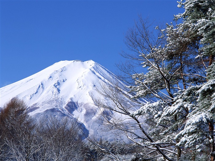 Fuji Scenery Bilder Album #21