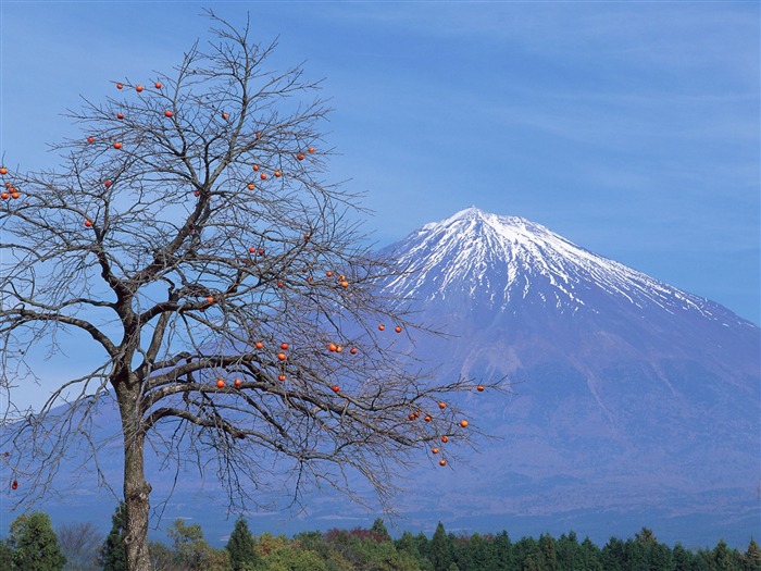 Fuji Krajina Tapety Album #26