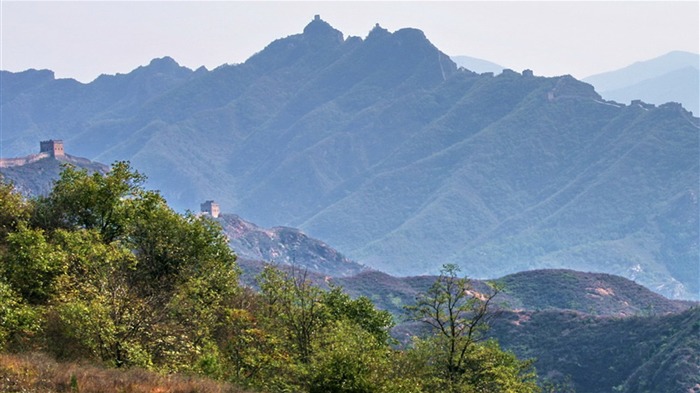 Jinshanling Great Wall (Minghu Metasequoia works) #11