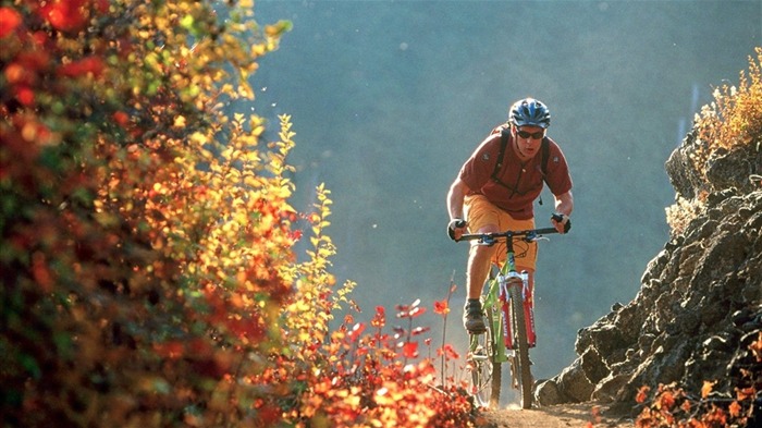 산악 자전거 바탕 화면 #10