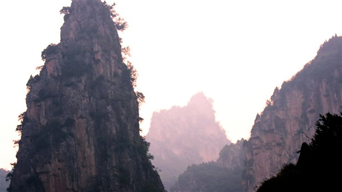 Máme Taihang hory (Minghu Metasequoia práce) #5