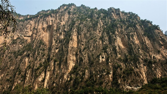 Мы Taihang горы (Minghu Метасеквойя работ) #11