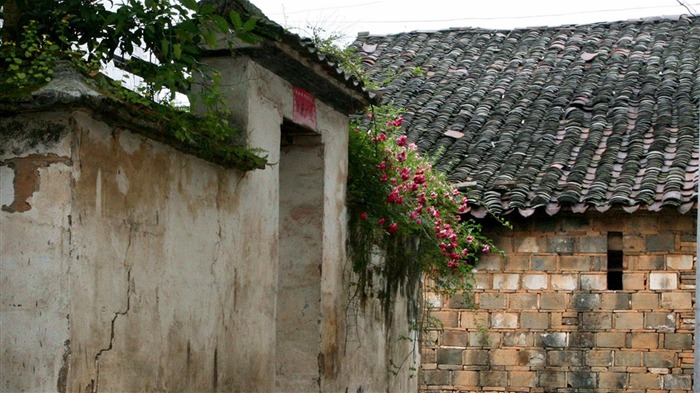 Wuyuan в дождь линии (Minghu Метасеквойя работ) #16