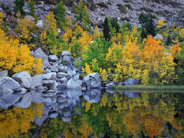 Fond d'écran magnifiques paysages d'automne #13