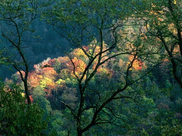 Fond d'écran magnifiques paysages d'automne #22