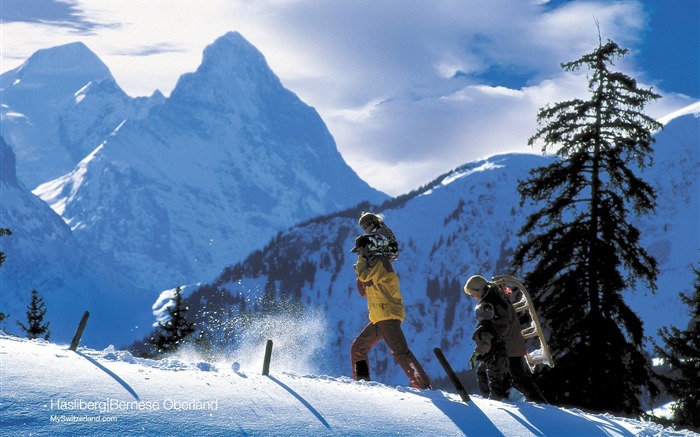 Suiza Turismo de Invierno fondo de pantalla #8