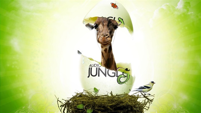 Design Audio Jungle Fond d'écran #20