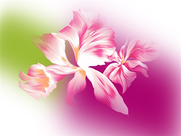 Flor sintético HD Wallpapers #14