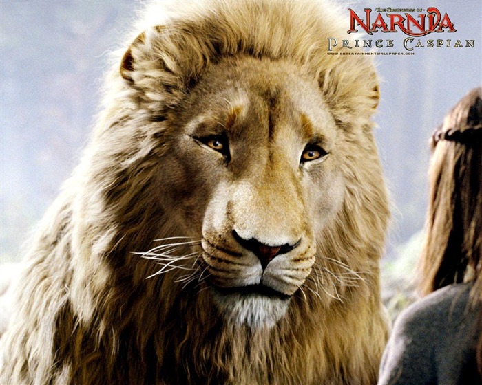 The Chronicles of Narnia 2: Prince Caspian #5