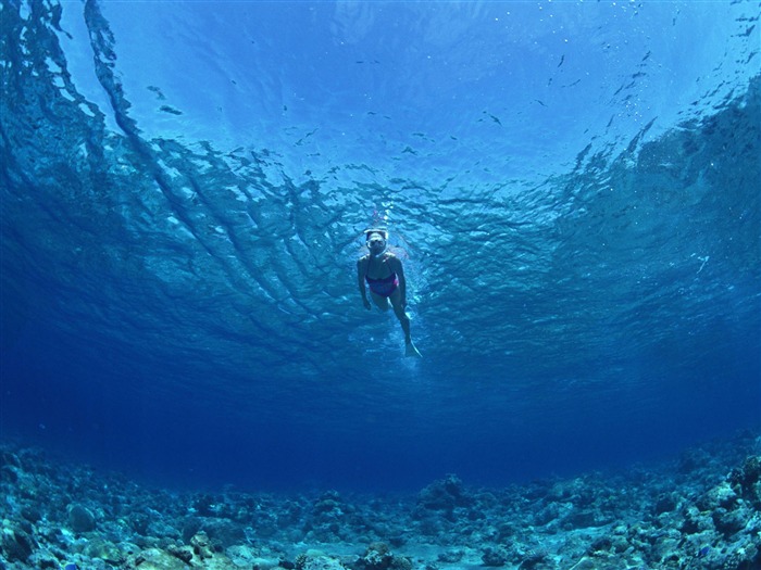 Deep Blue Underwater World Wallpaper #27