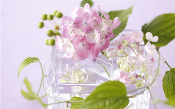 Flowers Gifts HD Wallpapers (4) #20