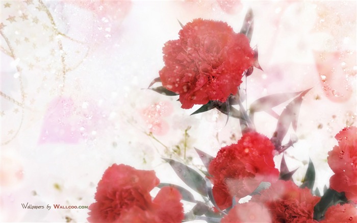 Mother's Day of the carnation wallpaper albums #14