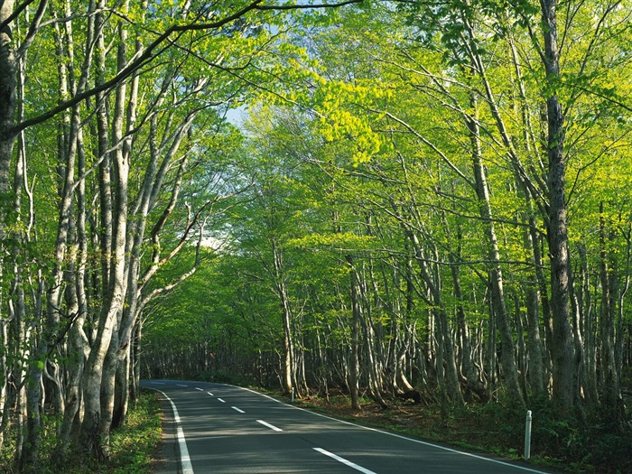 道路寫真壁紙 #20