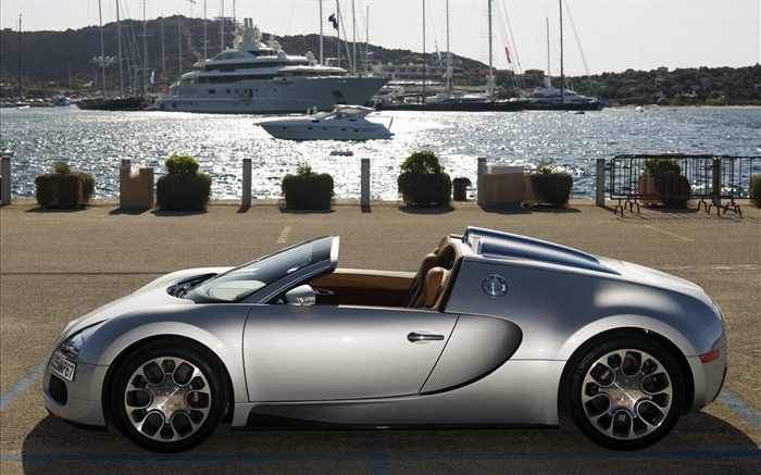 Bugatti Veyron Fondos de disco (1) #14