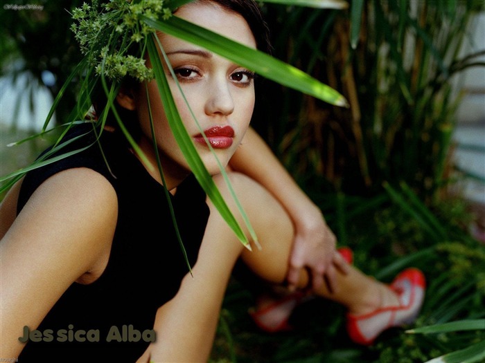 Jessica Alba krásnou tapetu (3) #1