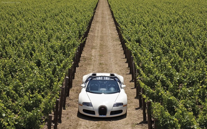 Album Bugatti Veyron Fond d'écran (3) #3