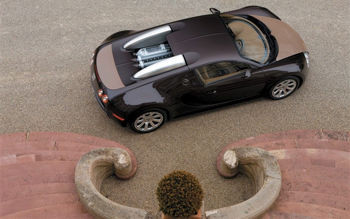 Bugatti Veyron обои Альбом (3) #11