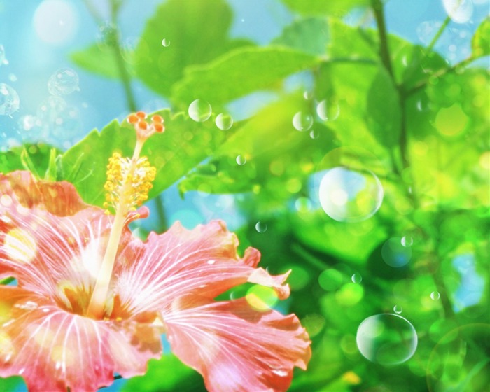 Fantasy CG Hintergrund Flower Wallpapers #1