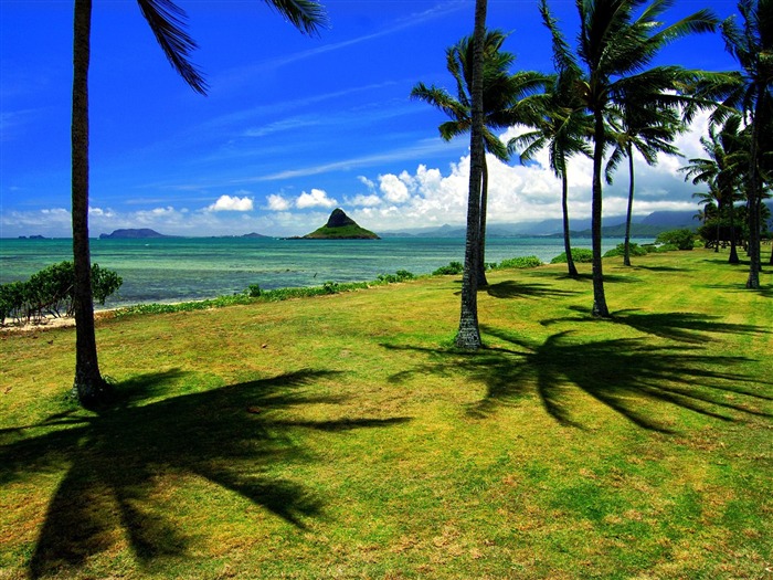 ハワイの壁紙の美しい風景 #2