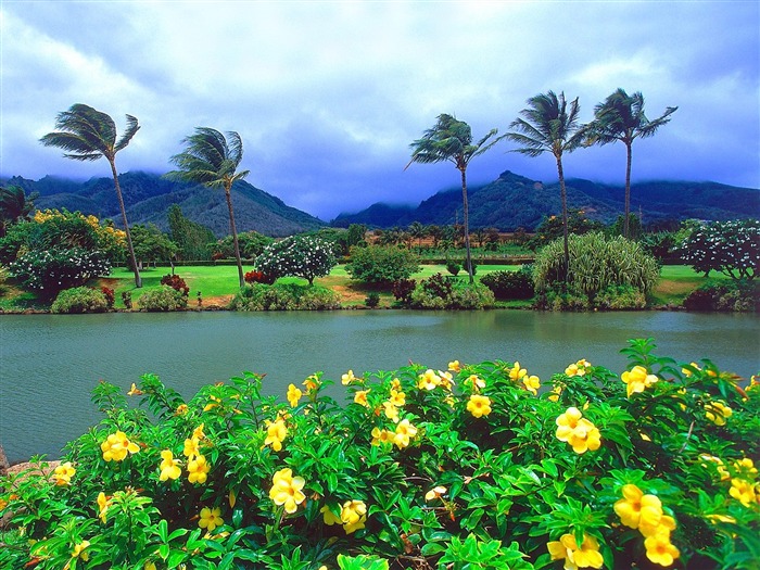 바탕 화면 하와이의 아름다운 풍경 #10