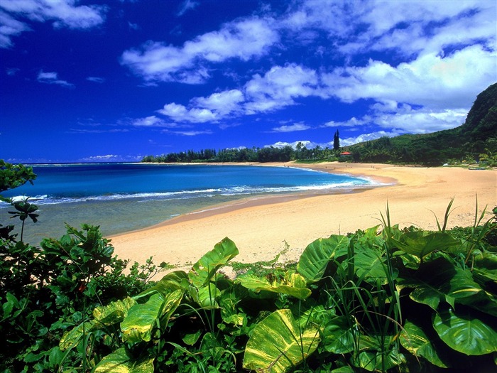 Hermoso paisaje de Hawai Wallpaper #11
