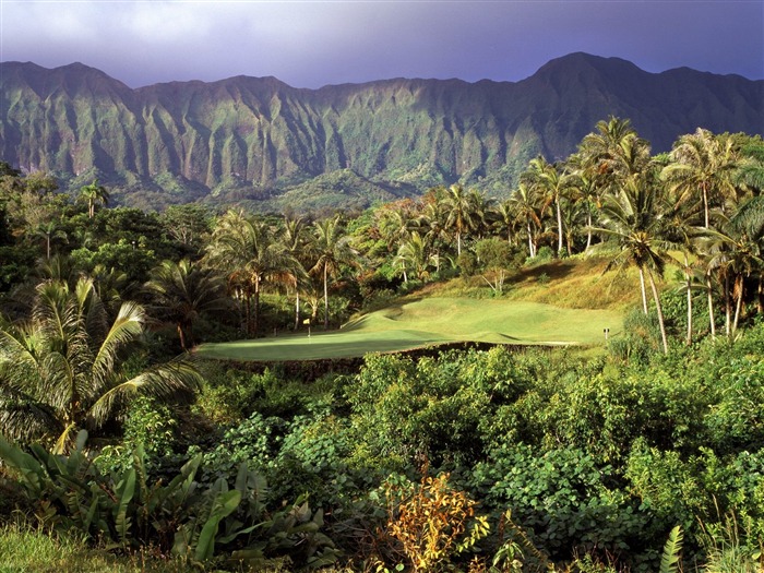 Hermoso paisaje de Hawai Wallpaper #21