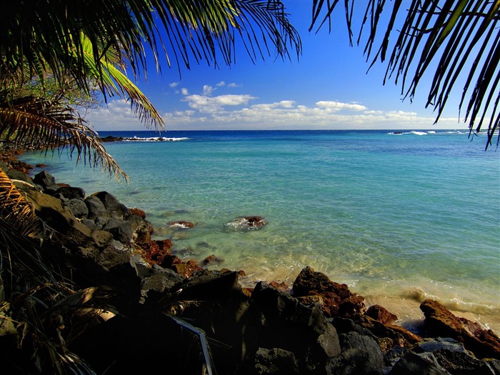 바탕 화면 하와이의 아름다운 풍경 #30