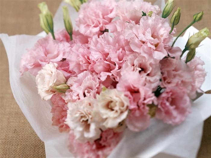 Flowers and gifts wallpaper (1) #6