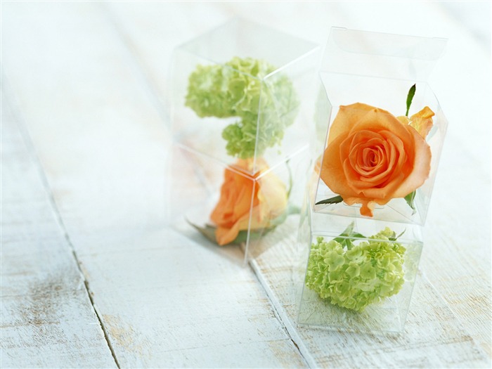 Flowers and gifts wallpaper (2) #6