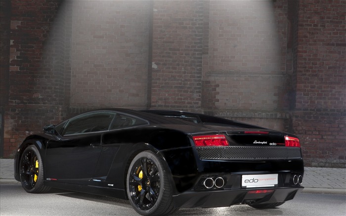 2010 Lamborghini fondo de pantalla #11