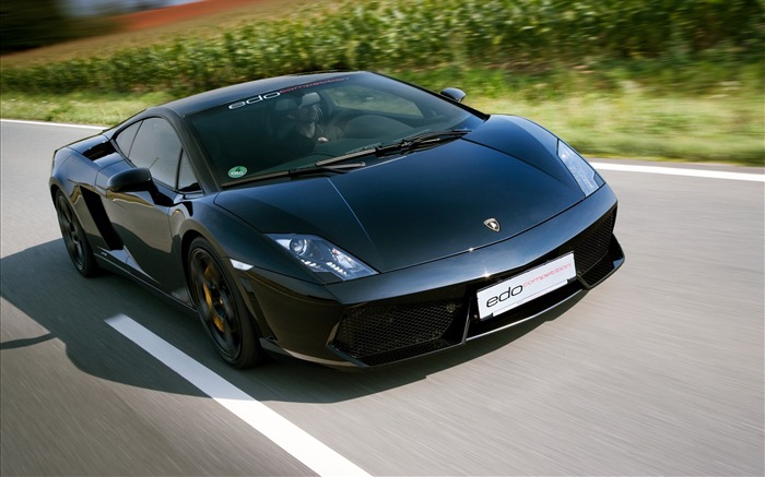 2010 Lamborghini fondo de pantalla #15