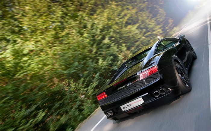 2010 Lamborghini fondo de pantalla #16