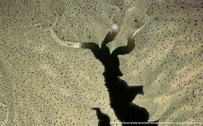 Yann Arthus-Bertrand Letecké fotografie zázraky na plochu #16