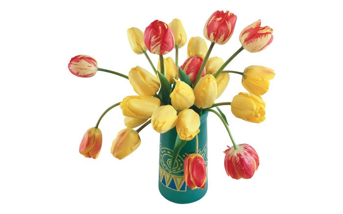 Velký tulipán tapetu (3) #16