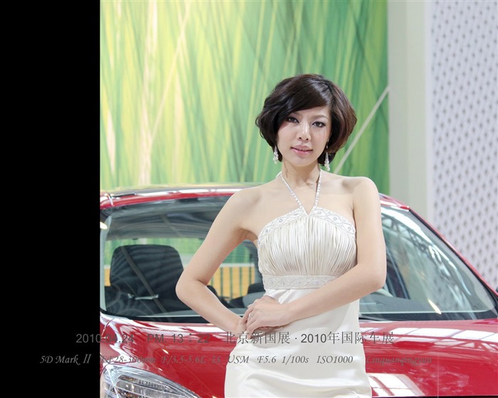 2010-4-24 Pekingu Mezinárodní Auto Show (Linquan Qing Yun práce) #6