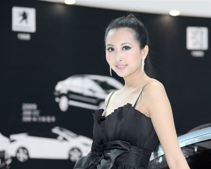 2010-4-24 Pekingu Mezinárodní Auto Show (Linquan Qing Yun práce) #7