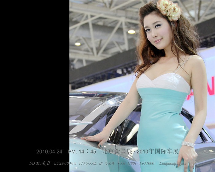 2010-4-24 Pekingu Mezinárodní Auto Show (Linquan Qing Yun práce) #12