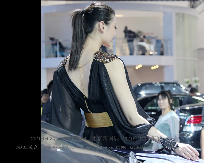 2010-4-24 Pekingu Mezinárodní Auto Show (Linquan Qing Yun práce) #18