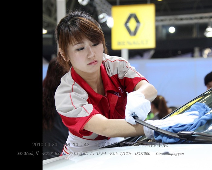2010-4-24 Pekingu Mezinárodní Auto Show (Linquan Qing Yun práce) #20