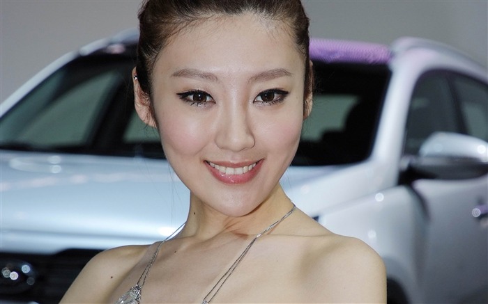 2010 Пекинском международном автосалоне красоты (арматурных работ) #24