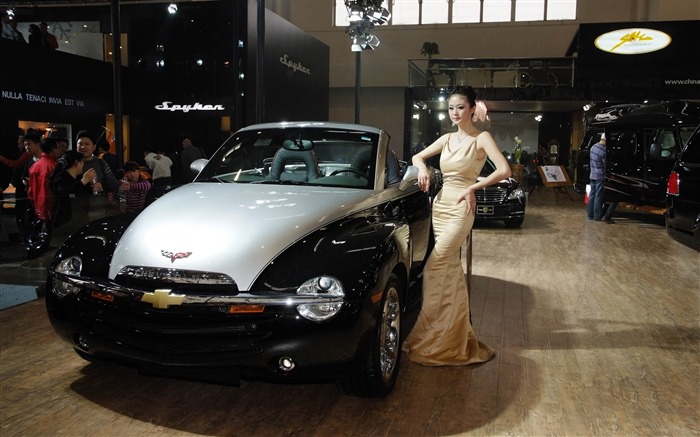 2010 Пекинском международном автосалоне Че Хун красоты (арматурных работ) #15
