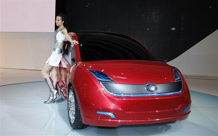 2010 v Pekingu Mezinárodním autosalonu Heung Che krása (prutu práce) #24