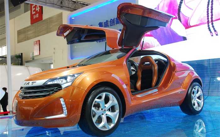 2010 v Pekingu mezinárodní automobilové výstavy (1) (z321x123 práce) #28