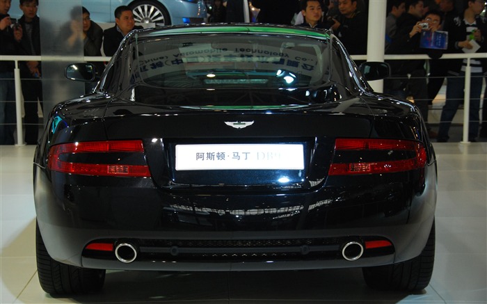 2010 v Pekingu mezinárodní automobilové výstavy (1) (z321x123 práce) #30