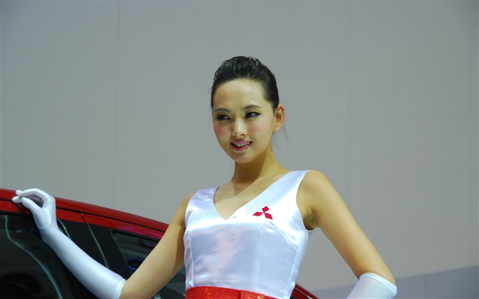 2010 v Pekingu mezinárodní automobilové výstavy (3) (z321x123 práce) #28