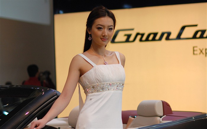 2010 Peking Mezinárodní Auto Show (mcwang007 práce) #26