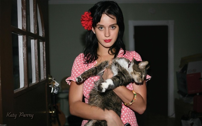 Katy Perry krásnou tapetu #1