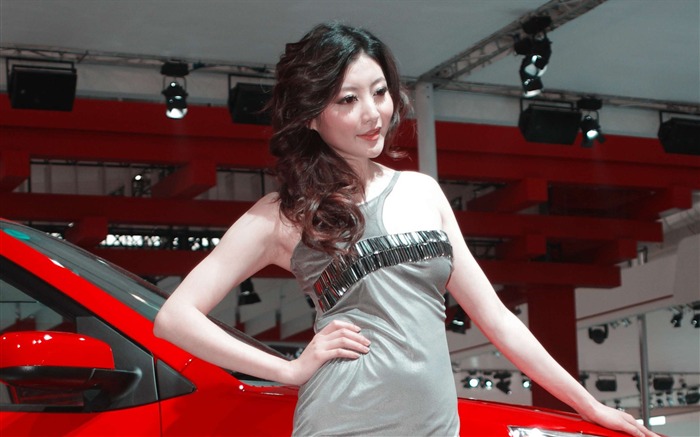 2010 Beijing Auto Show Schönheit (laogan101 Werke) #18