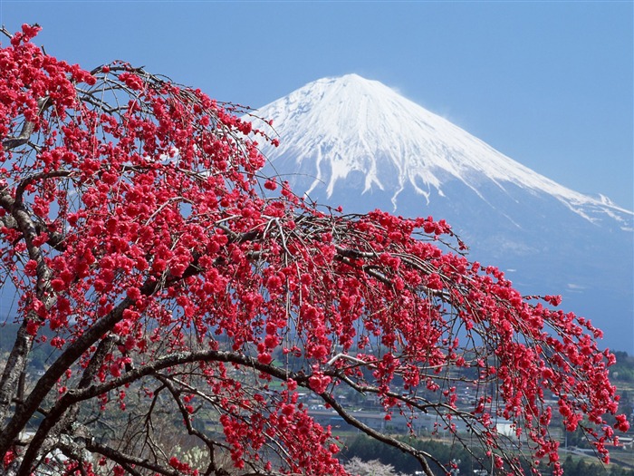 Гора Фудзи, Япония обои (1) #1